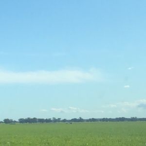 Meet your Posher, Piper